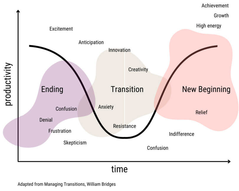 bridges-transition-model
